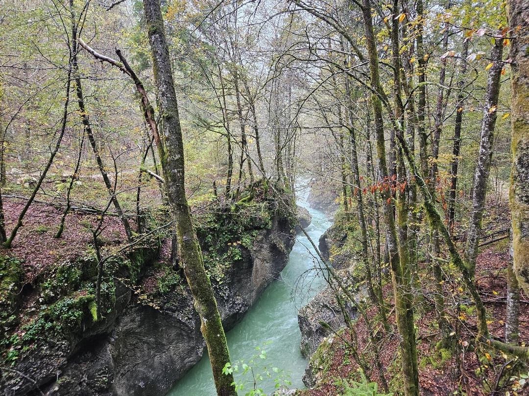 Mostnica Gorge-Stara Fuzina必去景点