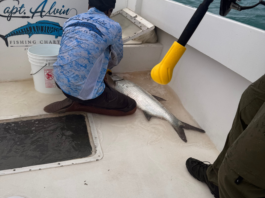 Capt. Alvin Fishing Charters-圣 托马斯必去景点