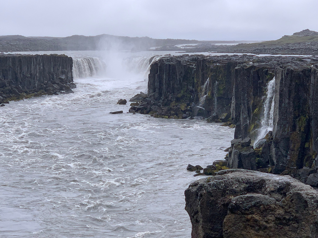 Selfoss Waterfall-Northeast Region必去景点