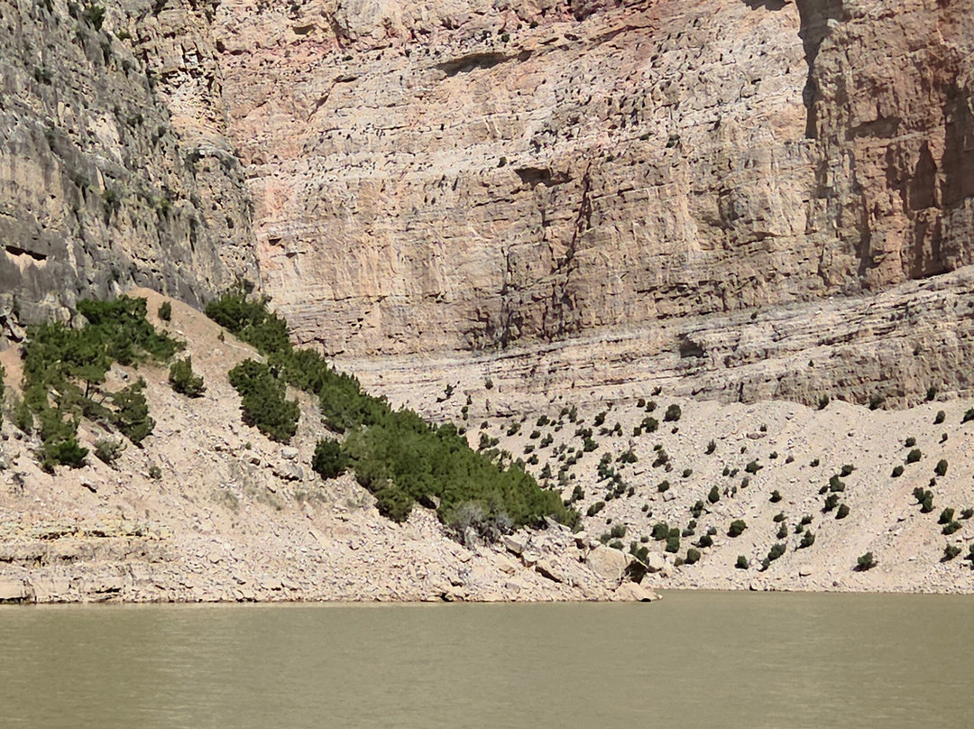 Hidden Treasure Day Charters-Lovell必去景点
