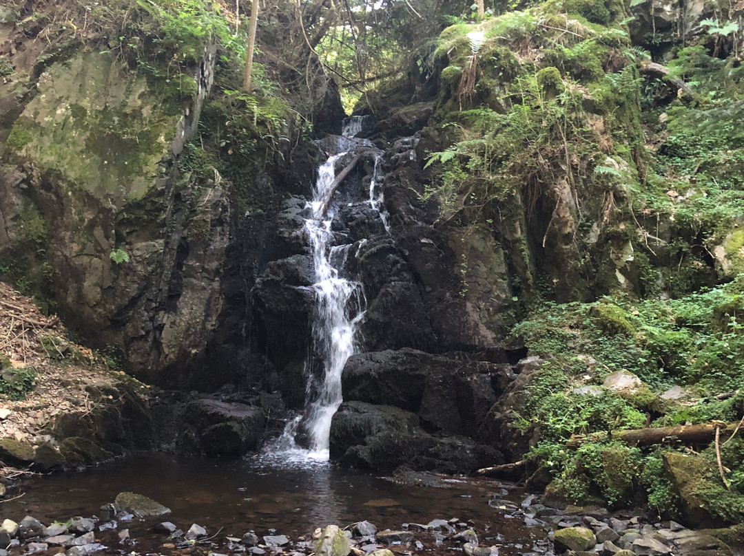 Les Sources de l’Yonne-Glux-en-Glenne必去景点