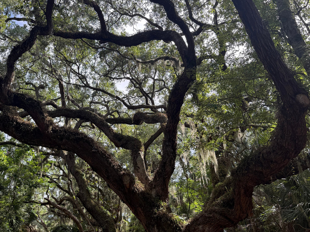 Amelia Island Nature Center-阿米莉亚岛必去景点