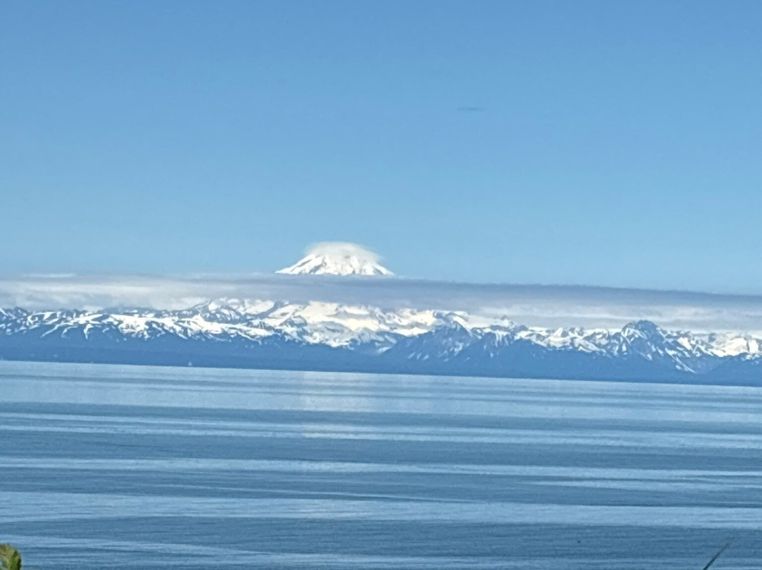 Discover Alaskan Adventures-尼尔奇克必去景点