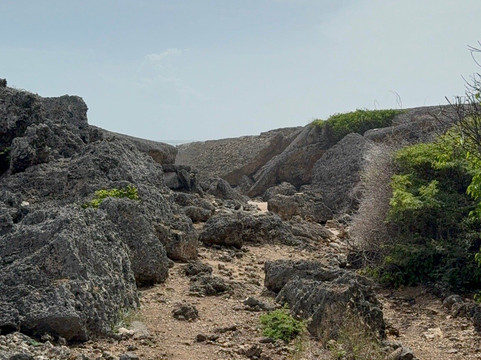 Gone Caribe-威廉斯塔德必去景点