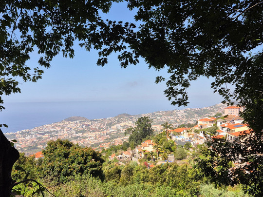 Madeira Island Tours-沙尔必去景点