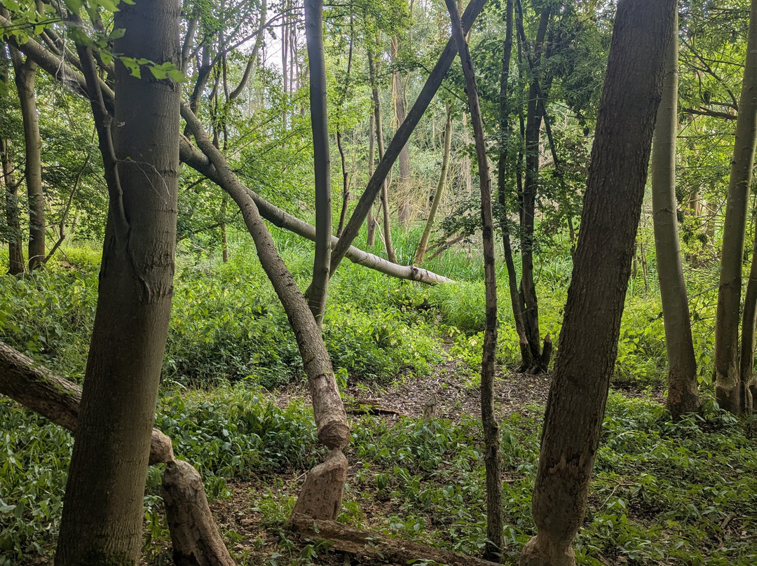 Spains Hall Estate-Finchingfield必去景点