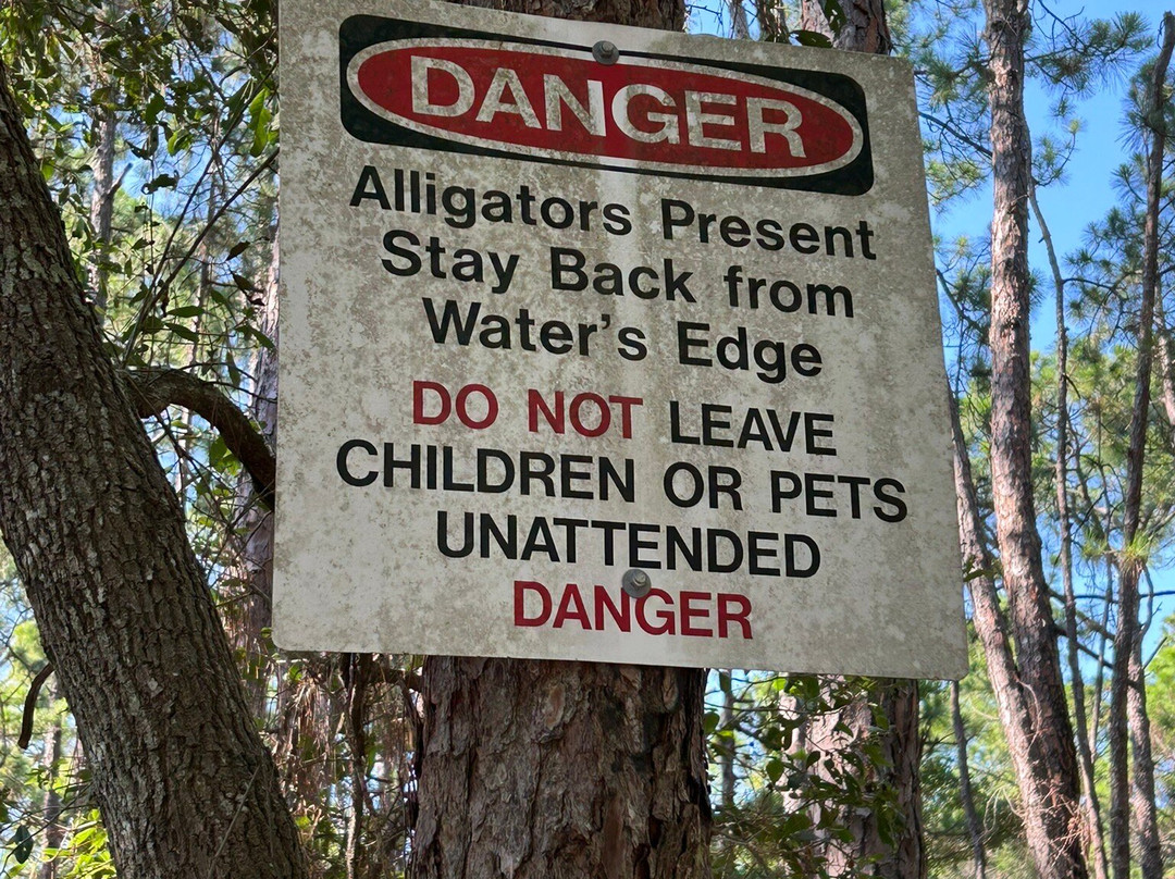 Dauphin Island Audubon Bird Sanctuary-Dauphin Island必去景点