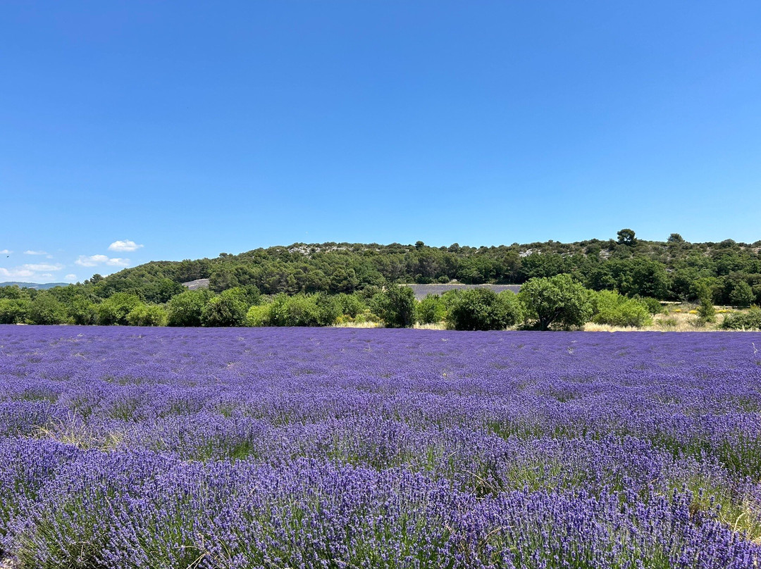 La Falaise de la Madeleine-Lioux必去景点