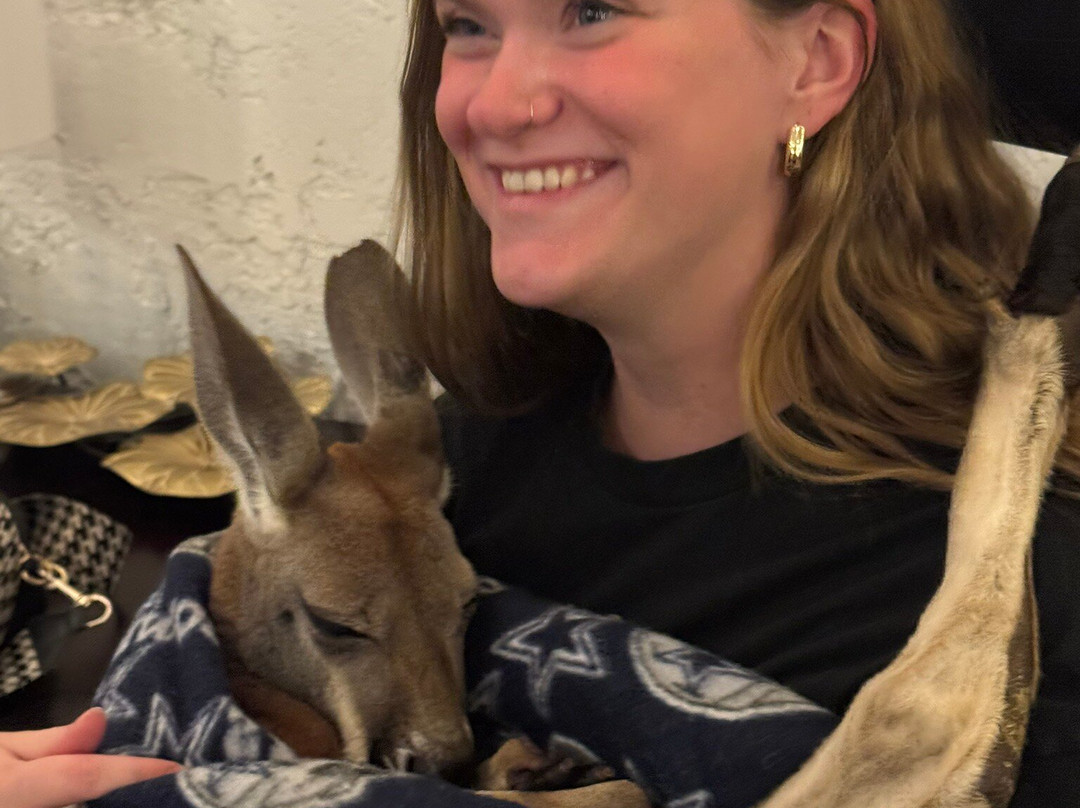 Kangaroo Ranch-Wheat Ridge必去景点