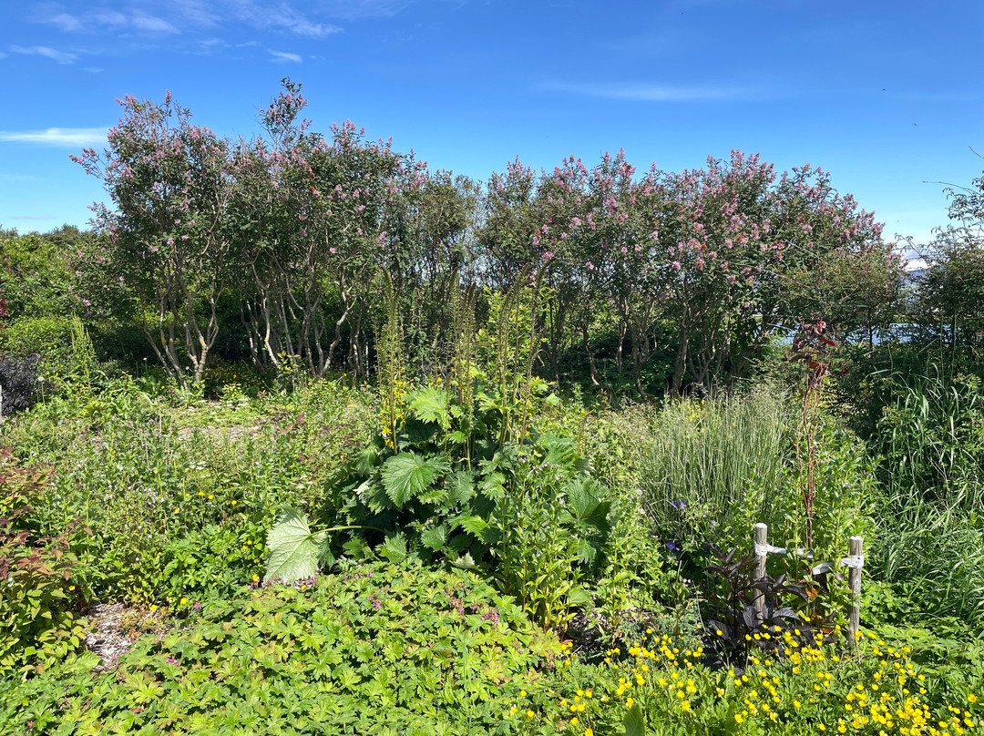 Hljómskálagarður Park-雷克雅未克必去景点