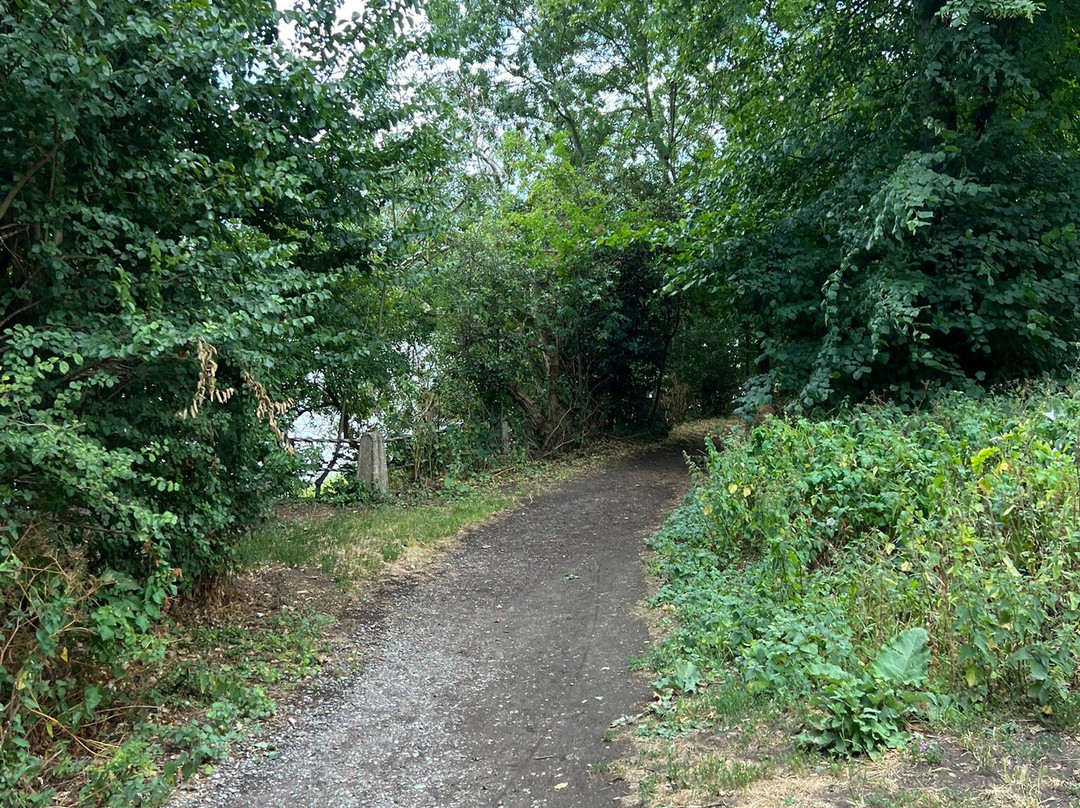 Dukes Meadows Golf, Tennis & Ski-伦敦必去景点