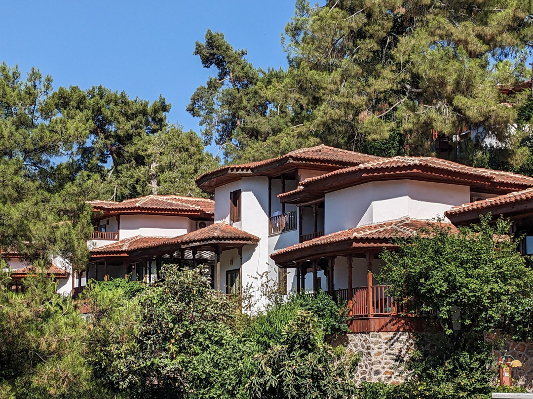 Club & Hotel Letoonia主图