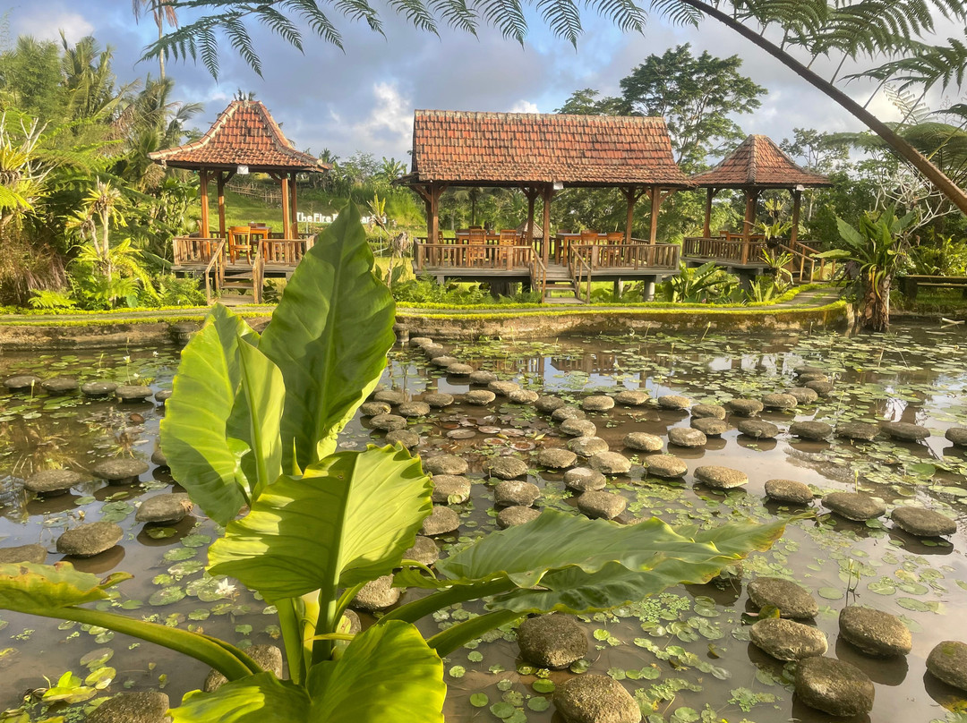 The Fire Flies Garden-吉安雅必去景点