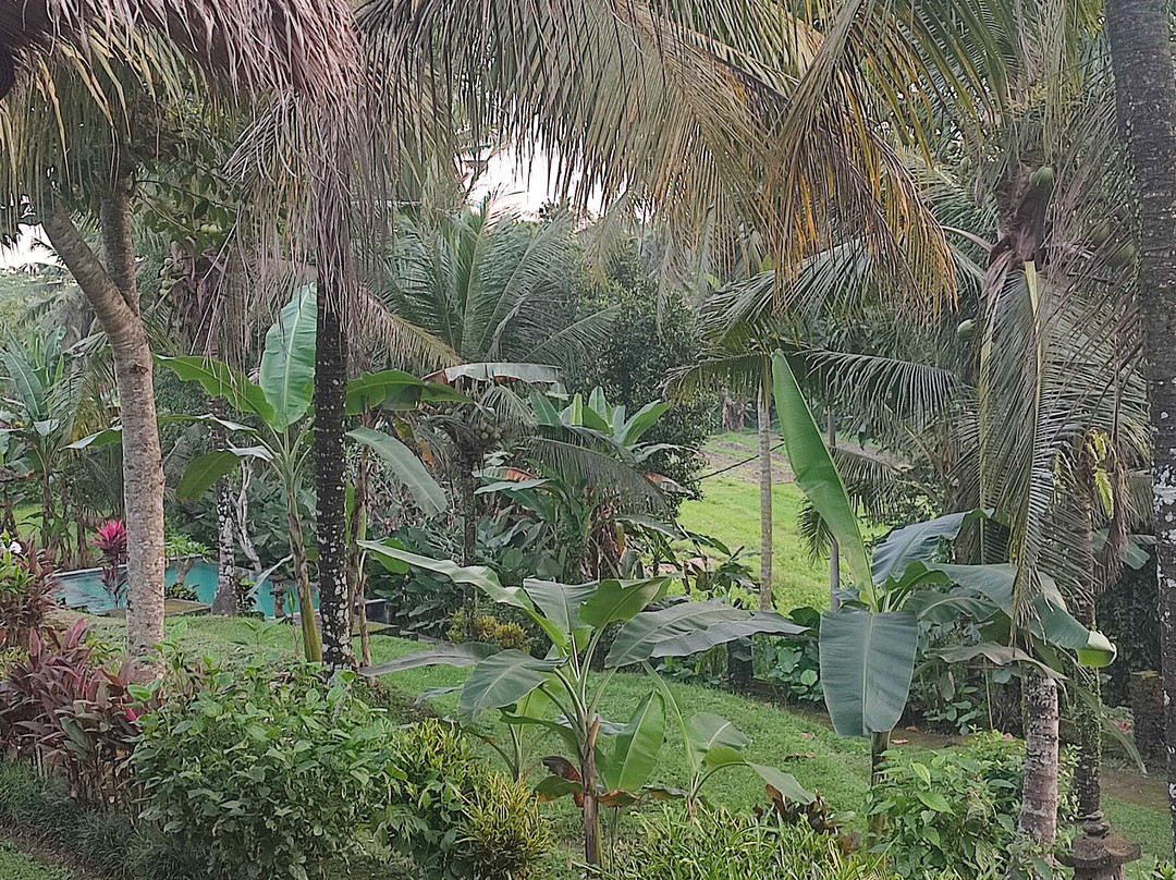 普瑞曼沙丽酒店主图