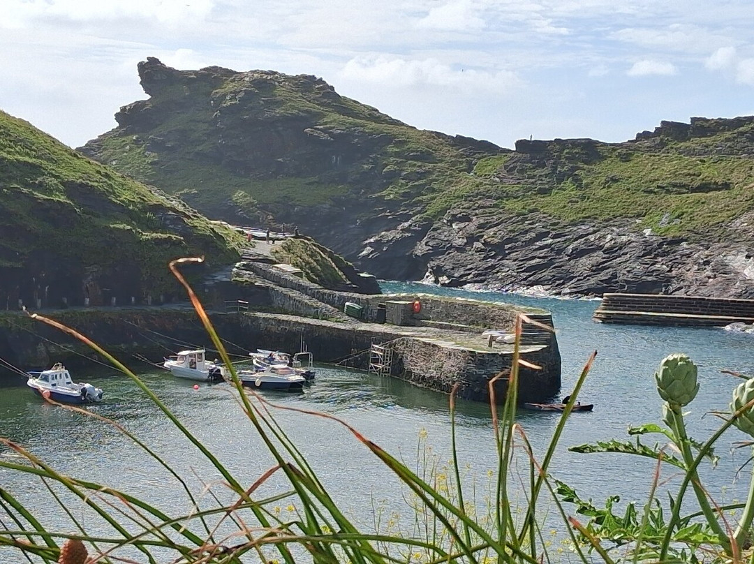 威灵顿酒店主图