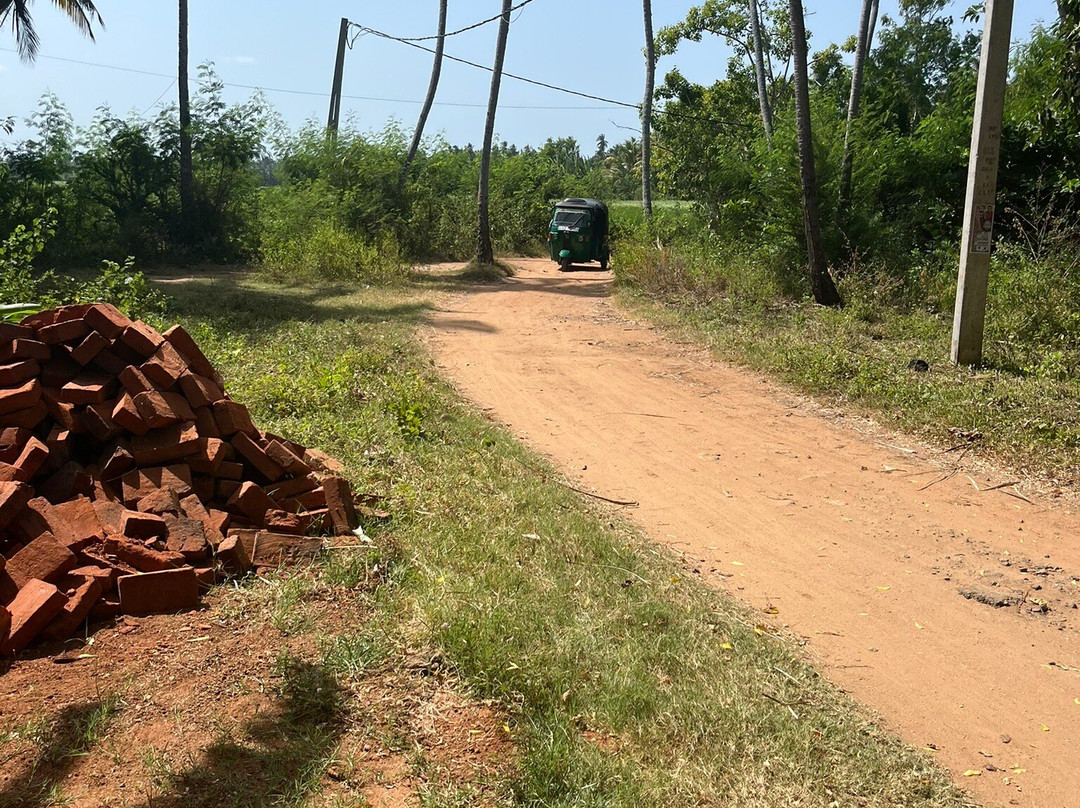 Yala Grand Homestay-Palatupana必去景点