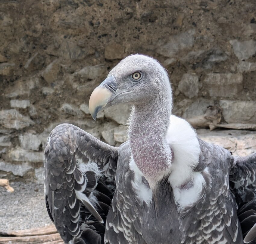 Dungeon of Eagles-Beaucens必去景点