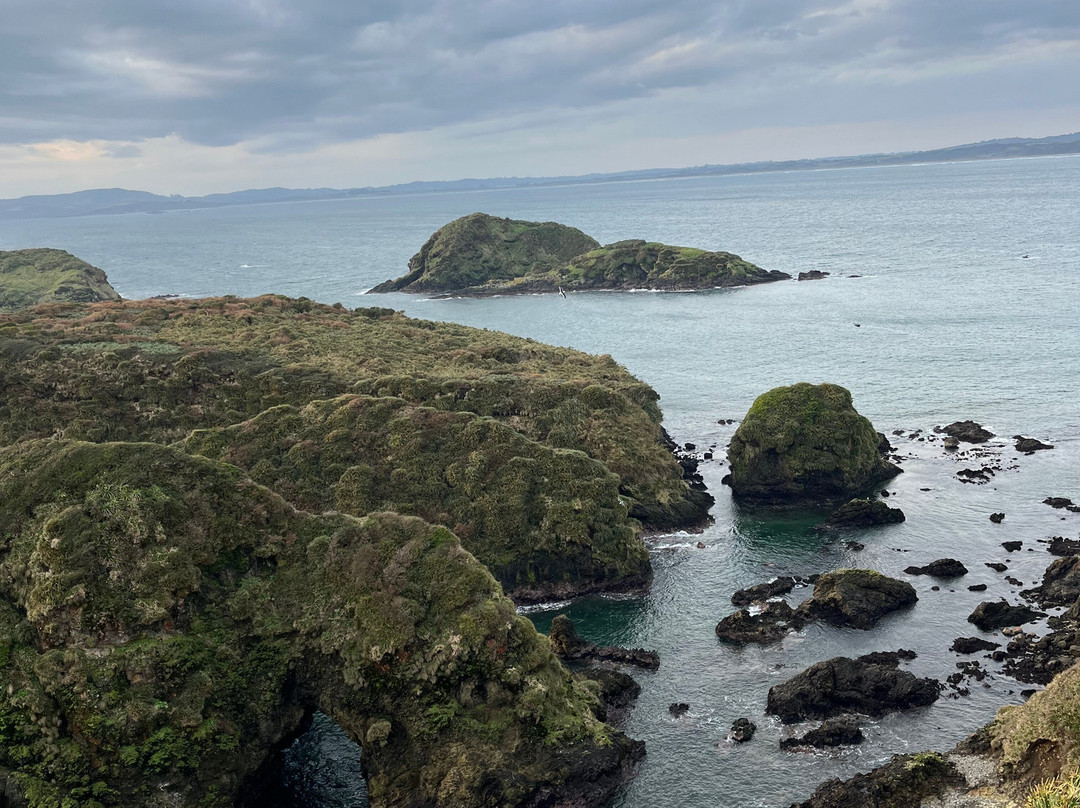 Chiloe-奇洛埃岛必去景点