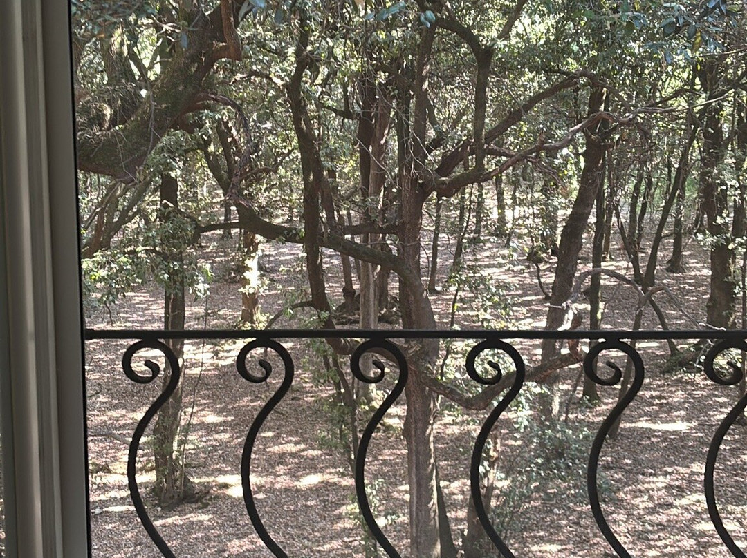 Albergo Ristorante Ferretti主图