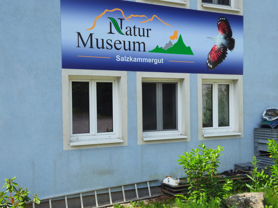 Naturmuseum Salzkammergut - Treffpunkt Natur-Ebensee am Traunsee必去景点