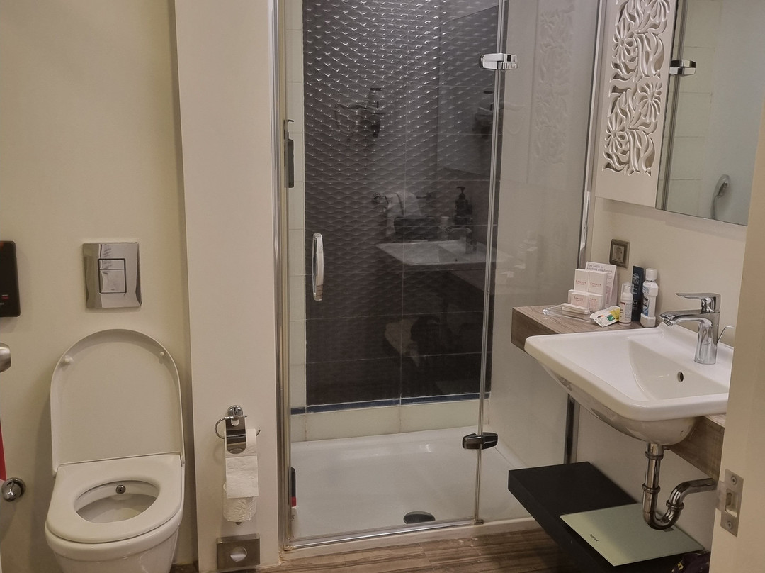 Ramada Hotel & Suites by Wyndham Izmir Kemalpasa主图