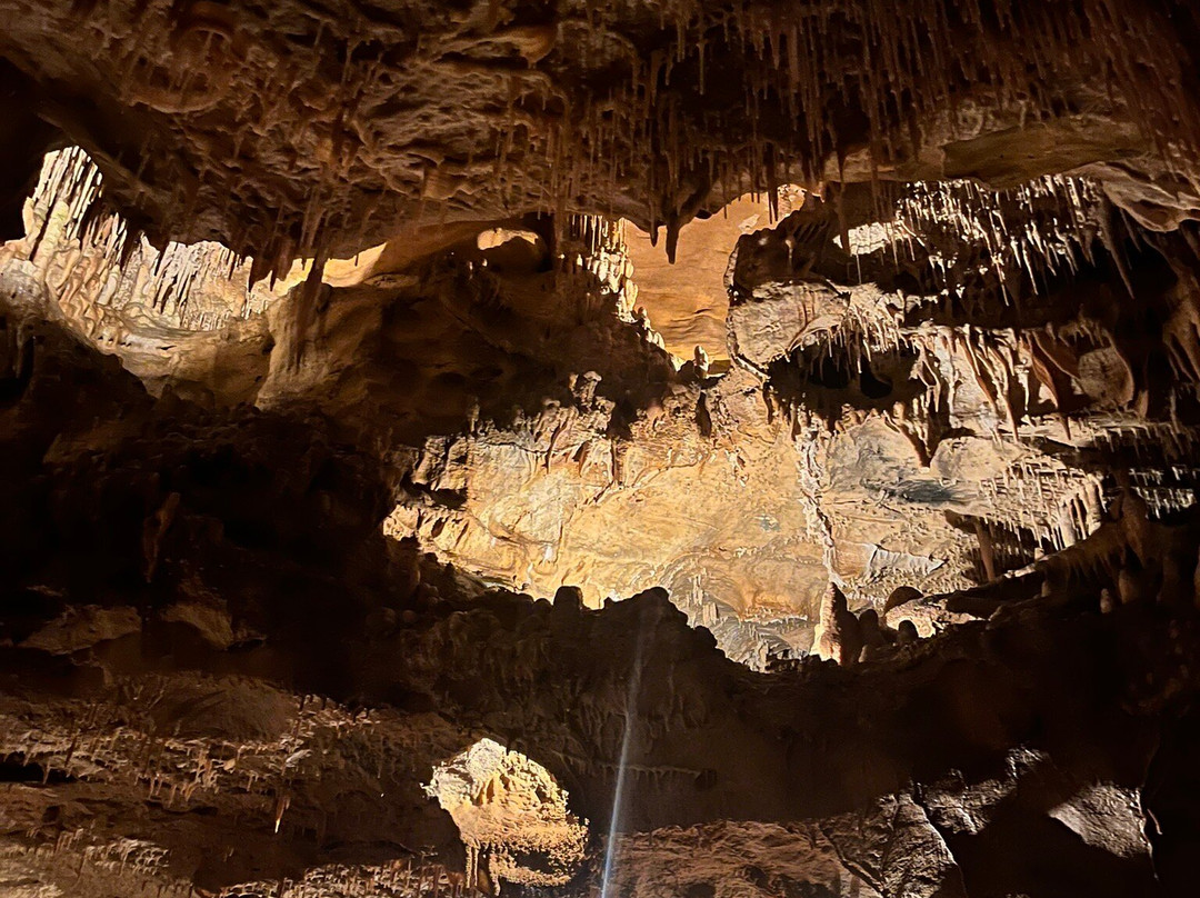Grottes de Cougnac-Payrignac必去景点