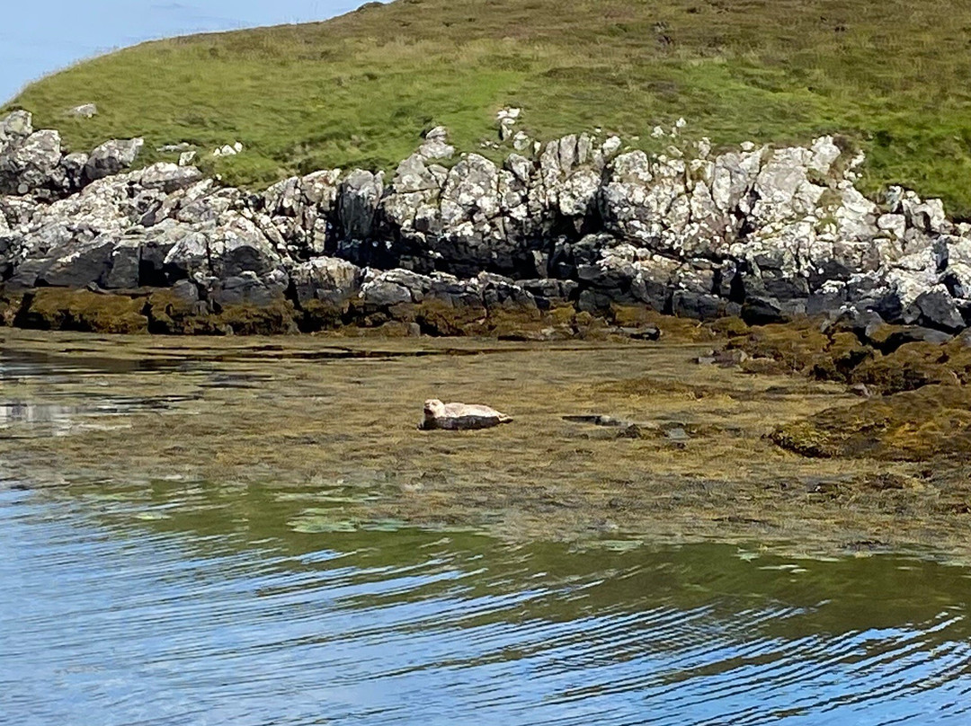 Lady Anne Wildlife Cruises-Grimsay必去景点