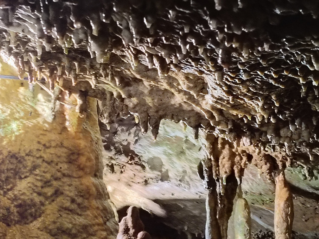 Jacob's Cave-Versailles必去景点