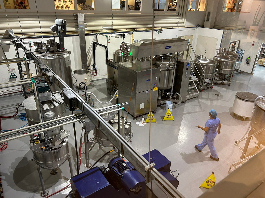 Aruba Aloe Factory, Museum and Store-阿鲁巴岛必去景点