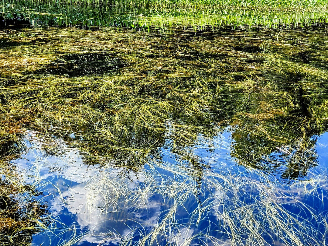 Mersey River Chalets and Nature Retreat主图