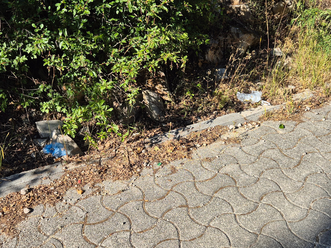 Catak Kanyonu Cam Seyir Terası-Azdavay必去景点