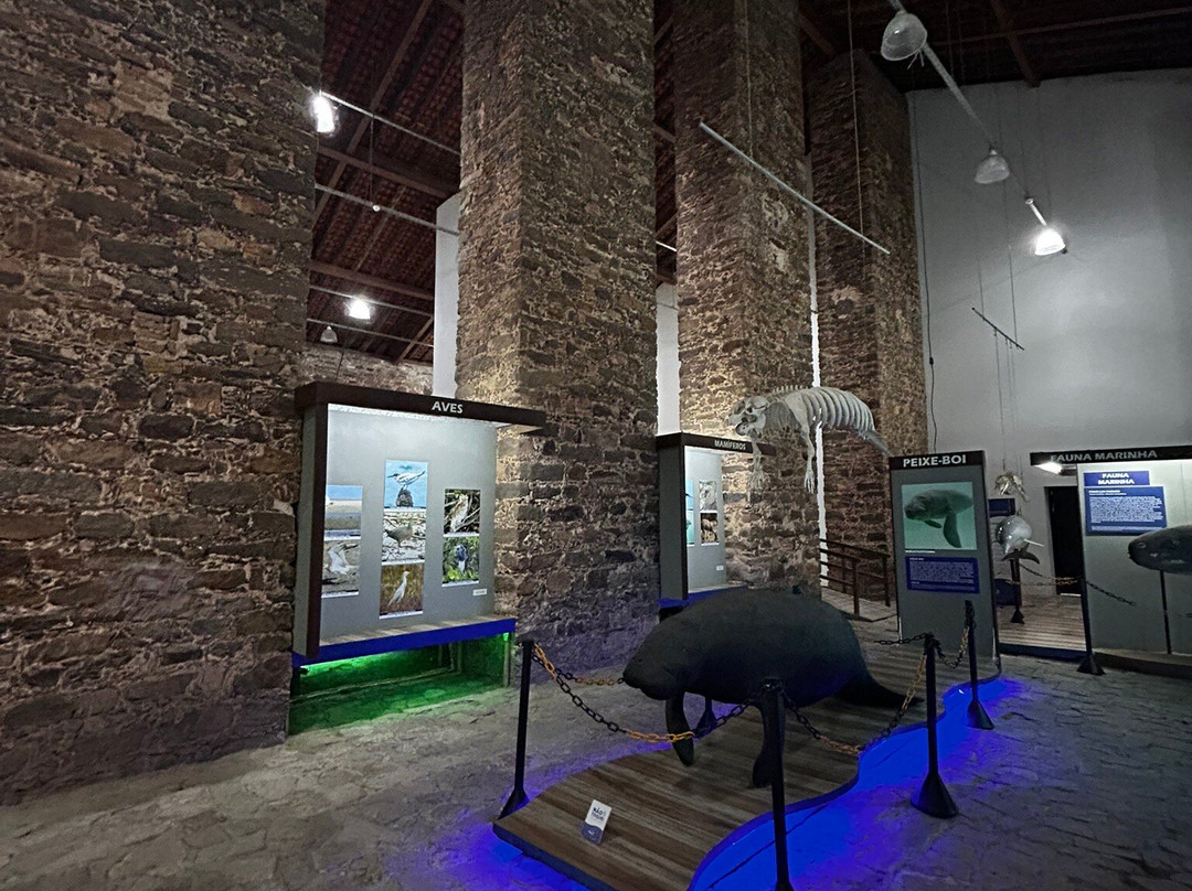 Museu Do Mar Delta Do Phb-Parnaiba必去景点