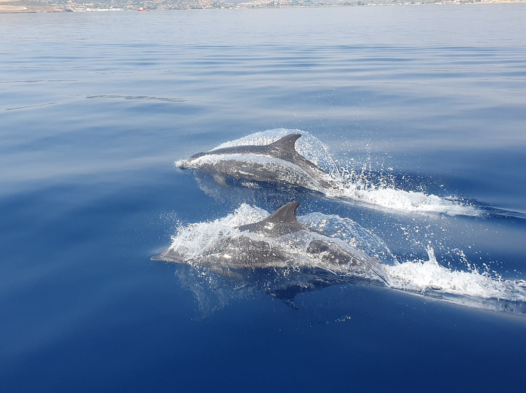 Alternative Sailing-Molyvos必去景点