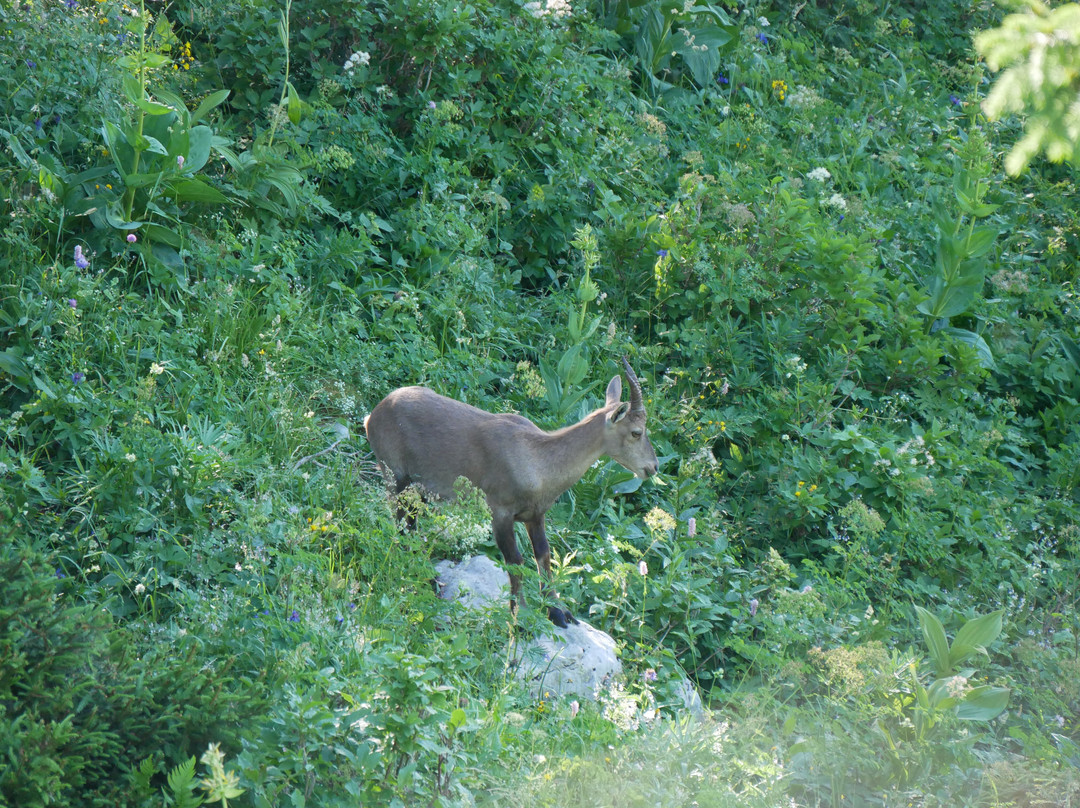 Creux du Van-Gorgier必去景点
