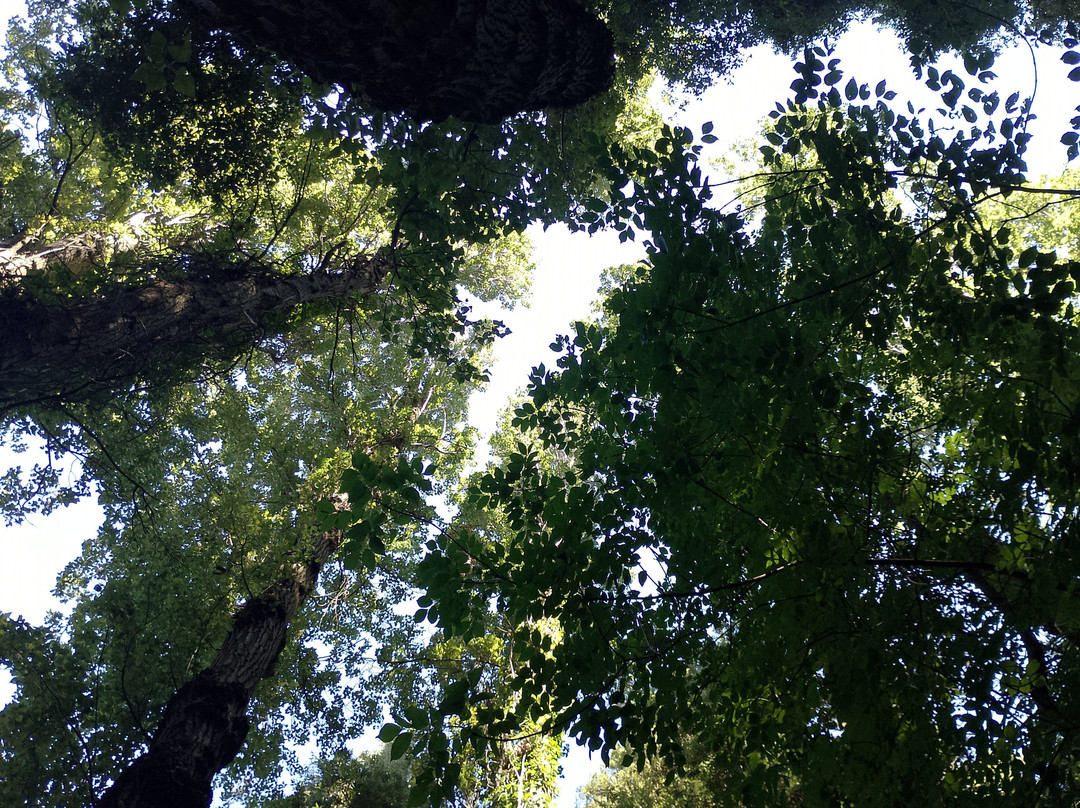 Le Cascate del Menotre-福利尼奥必去景点