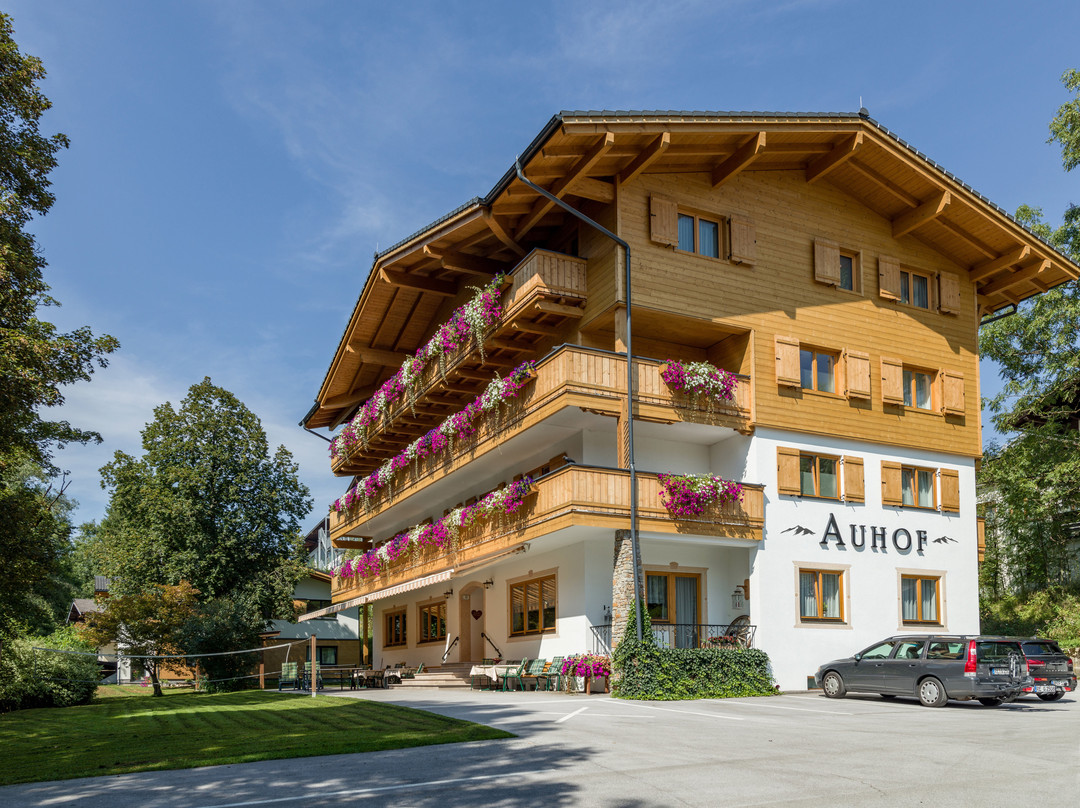 Going am Wilden Kaiser酒店住宿-Appartement Pension Auhof