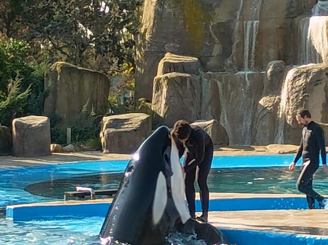 Mundo Marino-圣克莱门特雷图尤必去景点