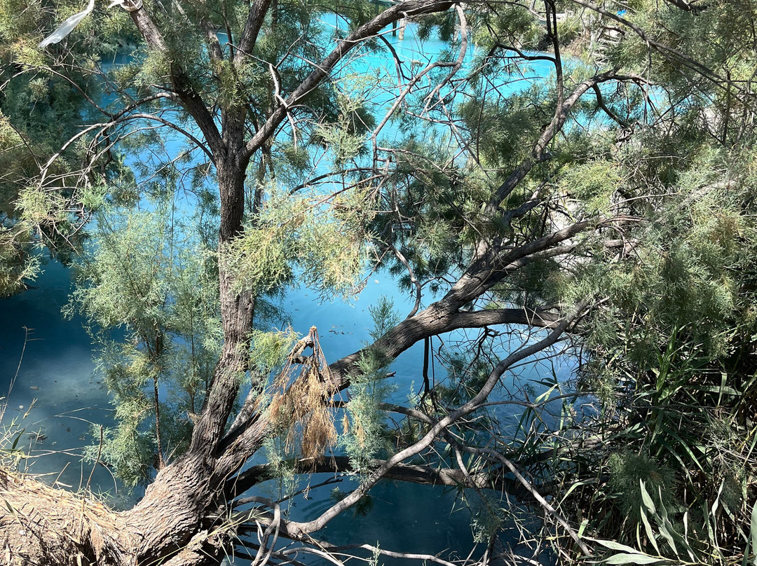 Dalyan Trophy-达利安必去景点