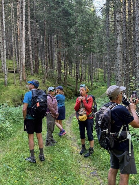 Wilderness Travel-伯克利必去景点