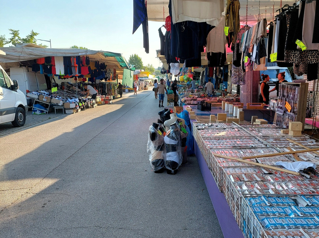 Mercato Settimanale Parco Centrale-福洛尼卡必去景点