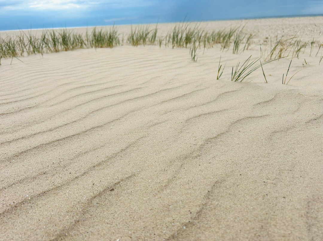 Holkham National Nature Reserve-Holkham必去景点