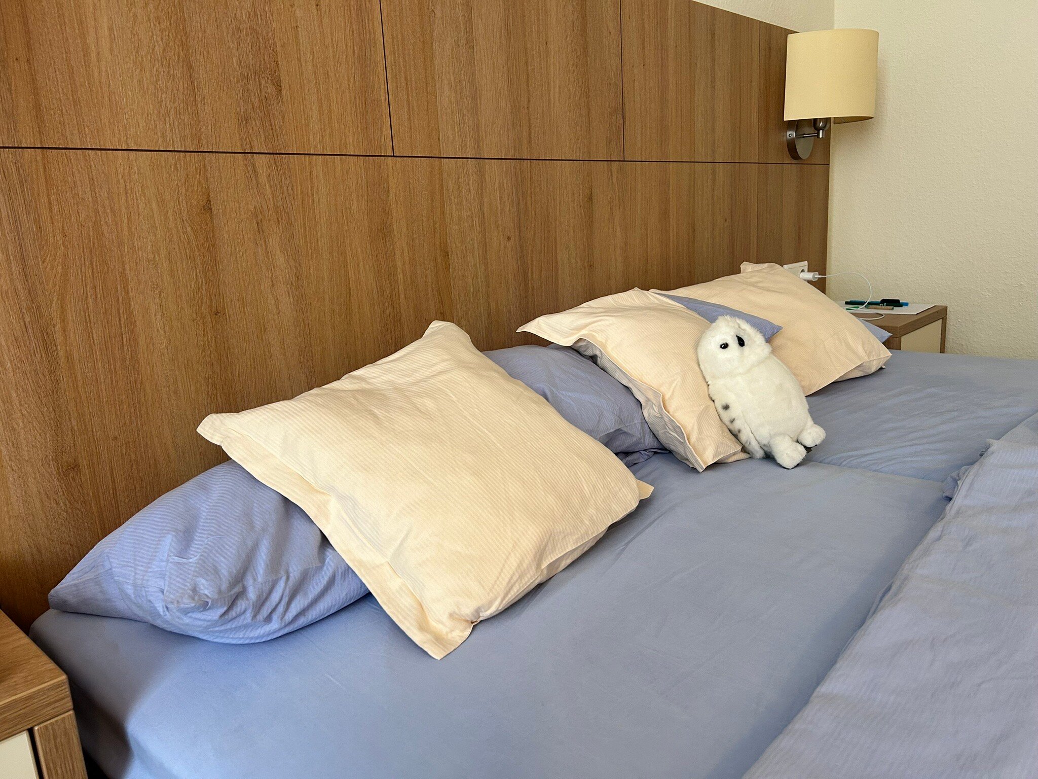 Inselhotel Bruns Norderney-官方