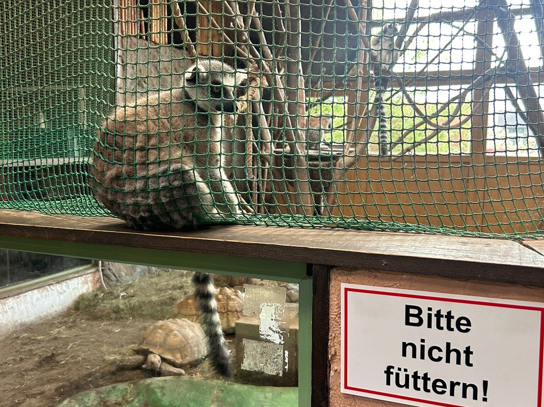 Terrazoo Rheinberg-Rheinberg必去景点