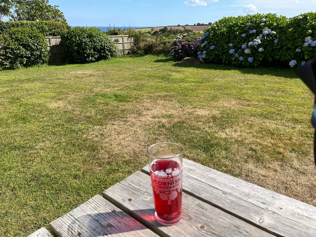 Trelawne Hotel主图