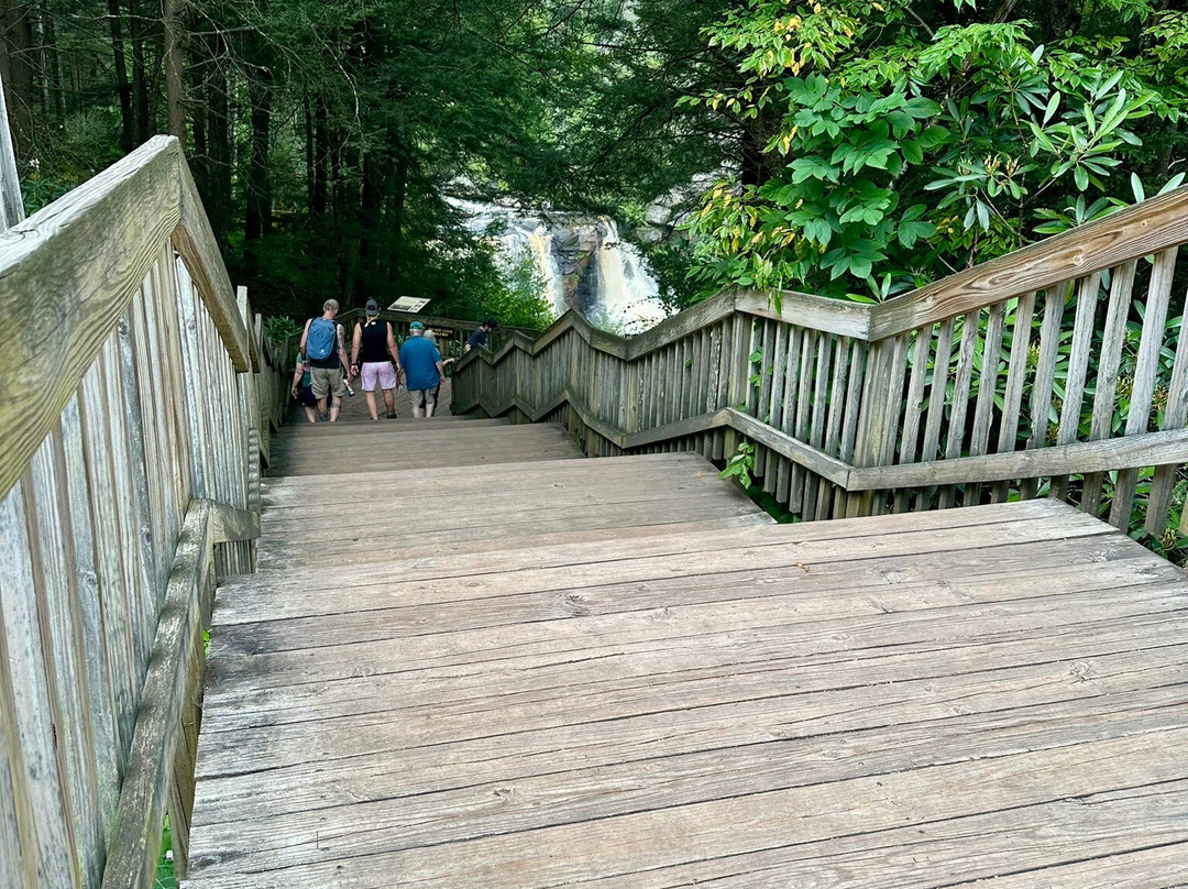 Blackwater Falls State Park-戴维斯必去景点