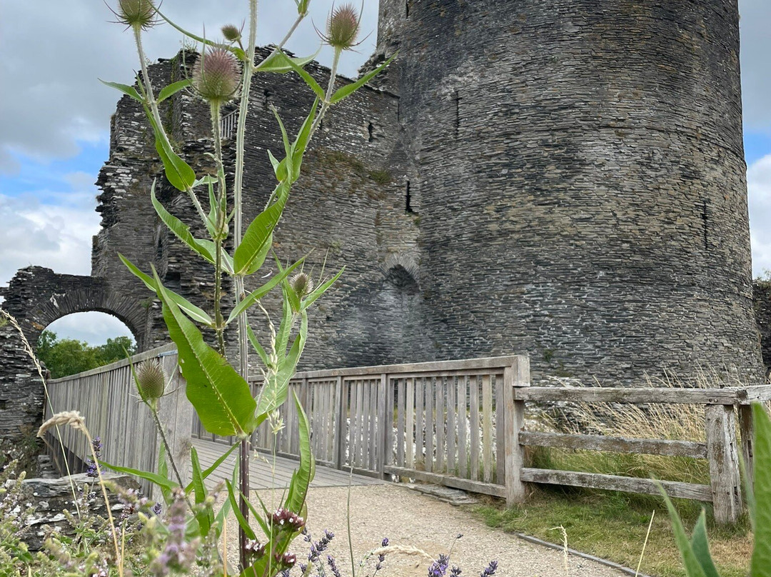 Nantgwynfaen Organic Farm主图