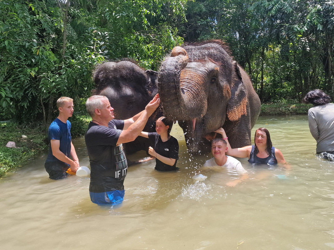 Krabi Elephant Sanctuary-甲米必去景点