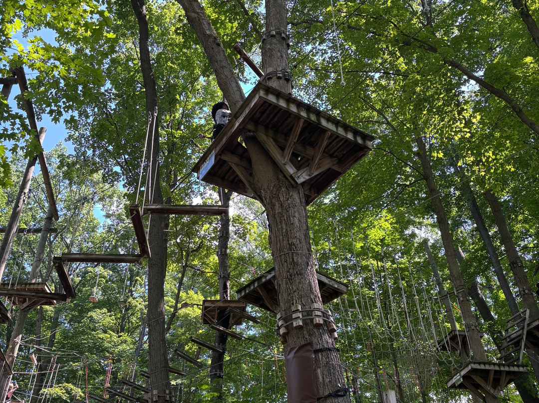TreeRunner Grand Rapids Adventure Park-大急流市必去景点