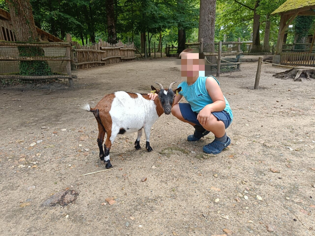 Domaine de Pescheray-Le Breil-sur-Merize必去景点