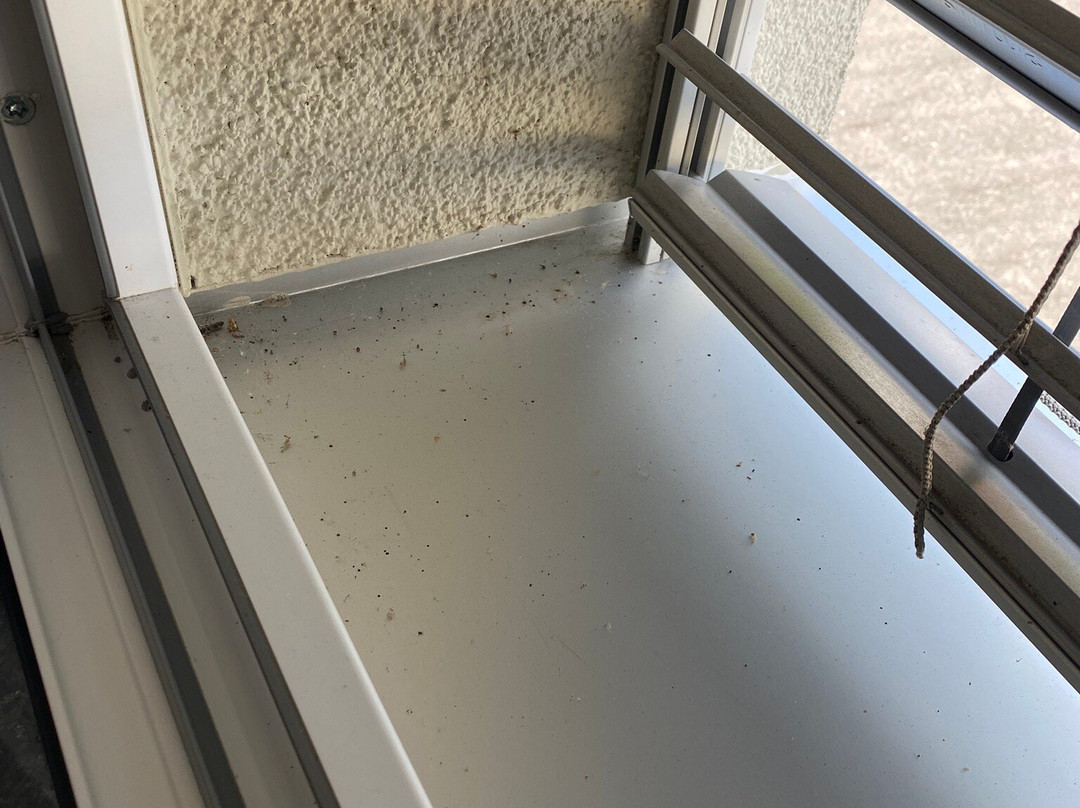 Hotel Lottstetten主图